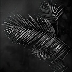 palm leafs black background