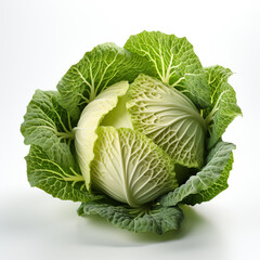 Obraz premium A photorealistic a head of white cabbage photo_of 3d render isolated