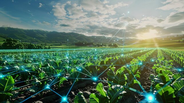 smart farming precision agriculture concept advanced sensors for crop monitoring technology integration digital illustration