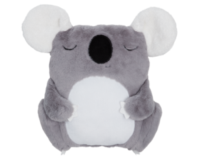 Acola Bear Pillow cut out isolated transparent background