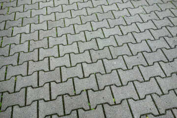 Contemporary paving stone paved with a sidewalk
