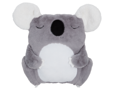 Acola Bear Pillow cut out isolated transparent background