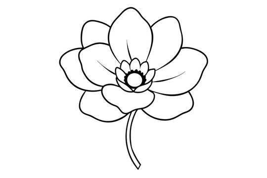 recommend clip art: anemone flower vector illustration