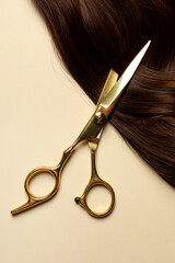 Professional scissors with brown hair strand on beige background, top view