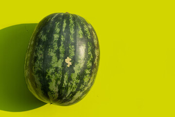 Fresh watermelon fruit, Top view