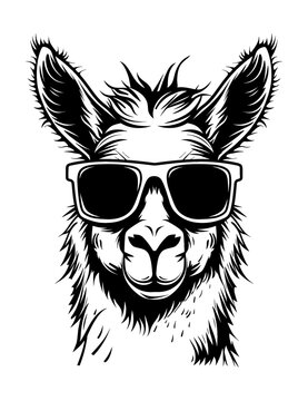 recommend clip art: llama sunglasses engraving black and white outline