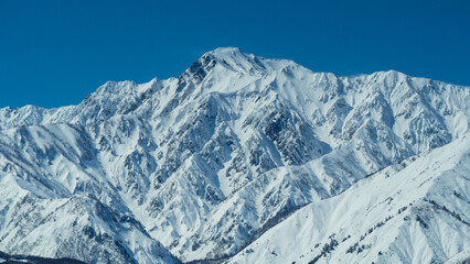 冬の白馬村　冠雪した北アルプスと五竜岳