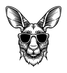 Fototapeta premium kangaroo sunglasses engraving black and white outline