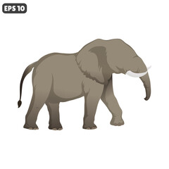 elephant animal vector isolate on white background