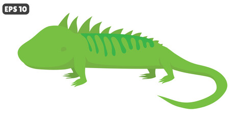 vector iguana animal isolate on white background