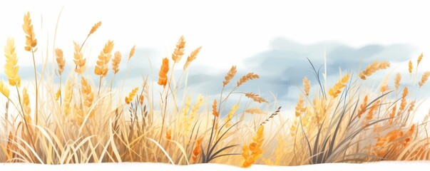 Watercolor drawing of a field of wheat.