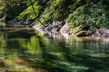 晩夏に映える渓谷