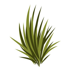 Grass illustration