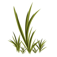 Grass illustration