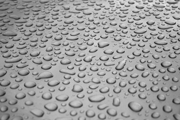 Rainwater Droplets on Shiny Metallic Chrome Silver Background.