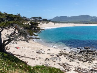 Carmel River State Beach,  Carmel, California, United States of America.