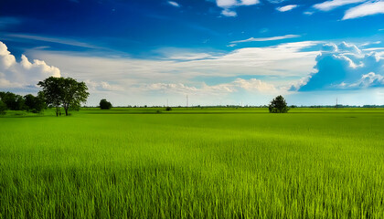Fototapeta premium the countryside of Korea, 한국의 시골