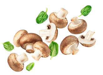 Fly of  champignon mushrooms with leaves  on white background. Top view.