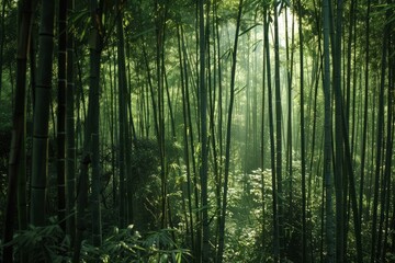 A tranquil Chinese bamboo forest with sunlight filtering through the dense foliage, creating dappled patterns on the forest floor, Generative AI
