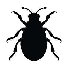 silhouette of a beetle isolated on white