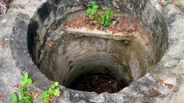 An old well in the garden with water
