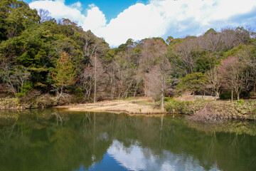 Fototapeta premium 兵庫県立甲山森林公園