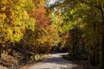 Sunny view of the beautiful fall color of Hobbs State Park-Conservation Area