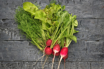 Fresh radishes on a large dark wooden table.