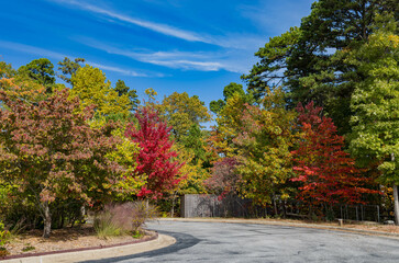 Naklejka premium Sunny view of the beautiful fall color of Hobbs State Park-Conservation Area