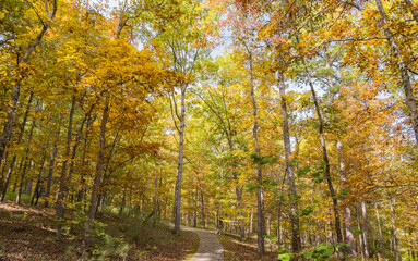 Sunny view of the beautiful fall color of Hobbs State Park-Conservation Area