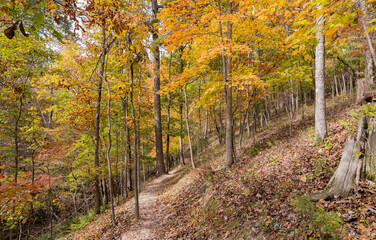 Sunny view of the beautiful fall color of Hobbs State Park-Conservation Area