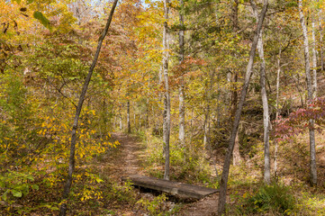 Sunny view of the beautiful fall color of Hobbs State Park-Conservation Area
