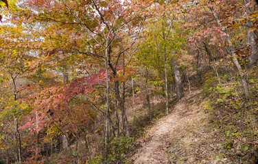 Sunny view of the beautiful fall color of Hobbs State Park-Conservation Area