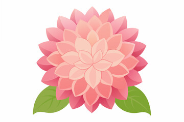 dahlia flower vector illustration