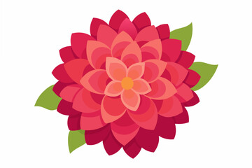 dahlia flower vector illustration