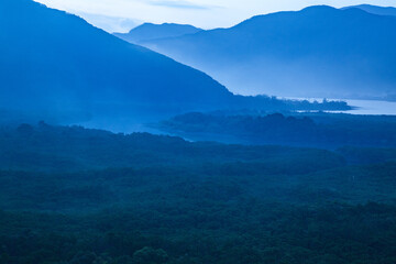 奄美, 早朝の霧に覆われたマングローブ