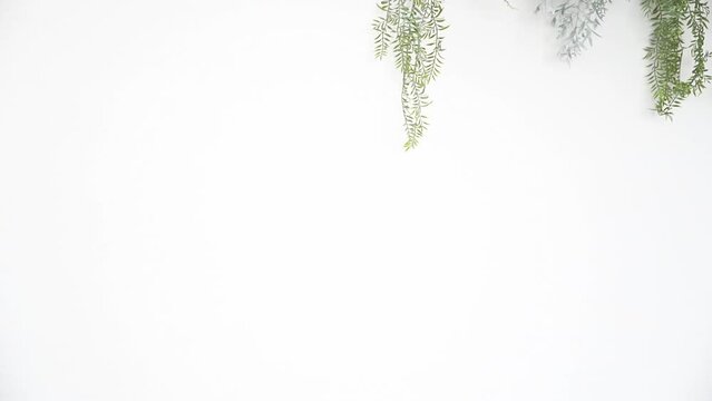 カフェで配膳するエプロン姿の接客業の女性か主婦のイメージ　いらっしゃいませ　ご注文お伺いします～の動画