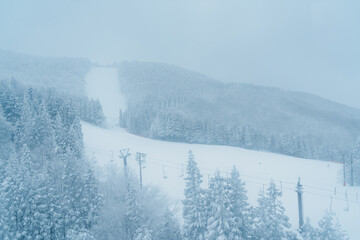View of Snow monster in Winter day at Mount Zao ski resort, Yamagata prefecture, Japan. powder snow...