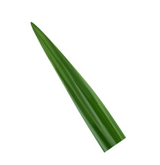 Pandan Leaf Illustration