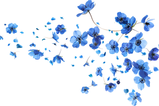 Blue Forget-Me-Not Flowers Decoration in Floral Design flowers petals flying