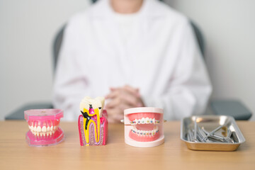 Tooth Anatomy and Orthodontic model on dentist table. Oral Teeth and disease. March Oral health,...