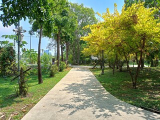 walkway and green trees beauty nature in garden Thailand