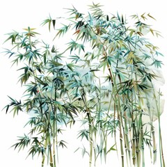Obraz premium Watercolor painting of a peaceful grove of bamboo trees swaying gently in the wind, on isolated white background, Generative AI