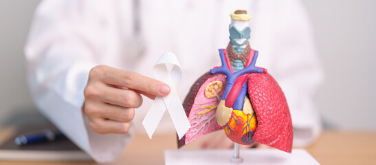 November Lung Cancer Awareness month. Doctor with Smoker Lung anatomy model and White ribbon in...