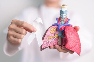 November Lung Cancer Awareness month. Doctor with Smoker Lung anatomy model and White ribbon in...