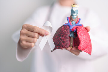 November Lung Cancer Awareness month. Doctor with Smoker Lung anatomy model and White ribbon in...
