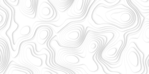 Abstract white paper cut background with line. 3d topography relief. Vector topographic illustration. realistic papercut decoration textured with wavy layer and shadow. seamless pattern wave design.