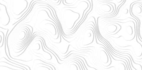 Abstract white paper cut background with line. 3d topography relief. Vector topographic illustration. realistic papercut decoration textured with wavy layer and shadow. seamless pattern wave design.