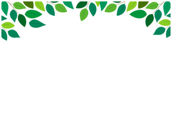 緑の葉っぱ美しい新緑フレーム背景16