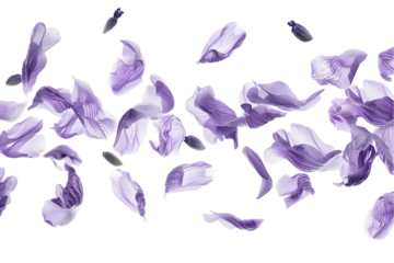 A seamless pattern illustration featuring silhouettes of birds, butterflies, and fish in a vibrant, nature-inspired design